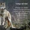 odelopez_09